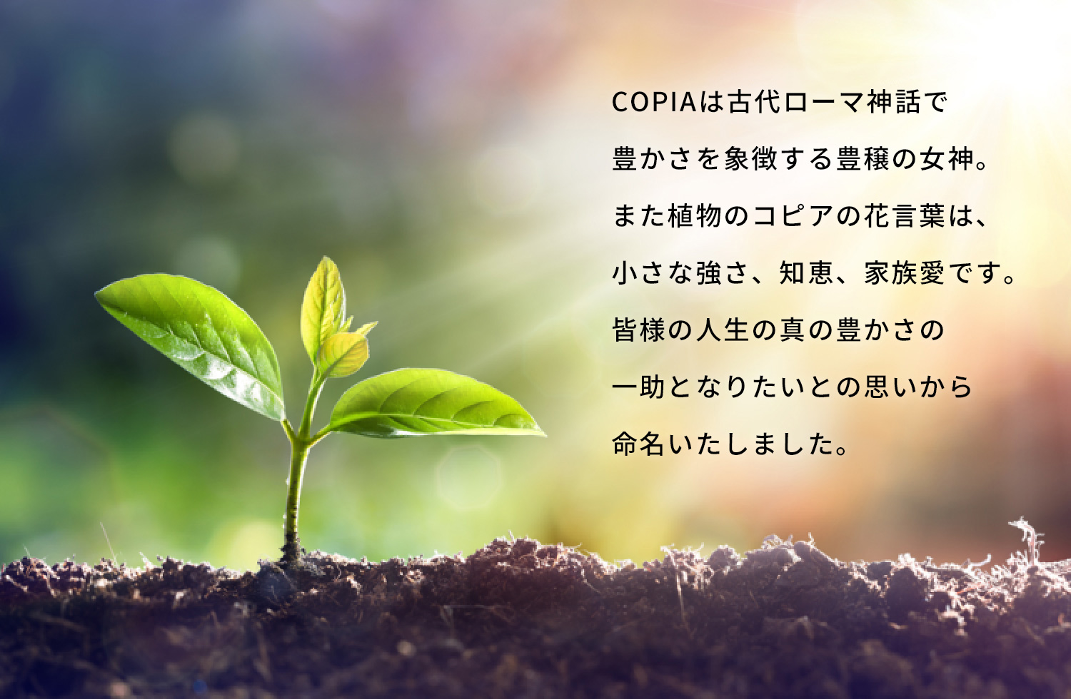 COPIAは古代ローマ神話で豊かさを象徴する豊穣の女神。また植物のコピアの花言葉は、小さな強さ、知恵、家族愛です。皆様の人生の真の豊かさの一助となりたいとの思いから命名させていただきました。